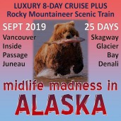 Midlife Madness in Alaska